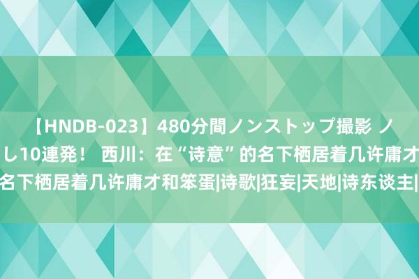 【HNDB-023】480分間ノンストップ撮影 ノーカット編集で本物中出し10連発！ 西川：在“诗意”的名下栖居着几许庸才和笨蛋|诗歌|狂妄|天地|诗东谈主|写诗