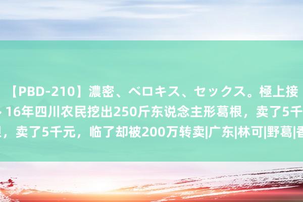 【PBD-210】濃密、ベロキス、セックス。極上接吻性交 8時間スペシャル 16年四川农民挖出250斤东说念主形葛根，卖了5千元，临了却被200万转卖|广东|林可|野葛|香草|宋顺林|四川省