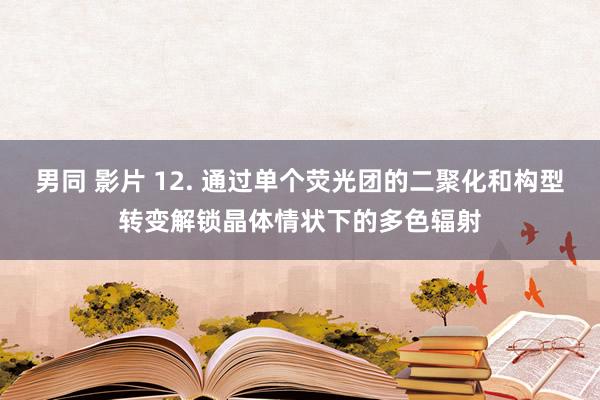 男同 影片 12. 通过单个荧光团的二聚化和构型转变解锁晶体情状下的多色辐射