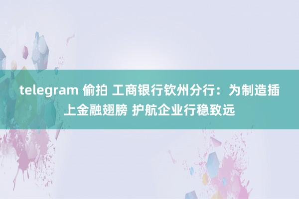 telegram 偷拍 工商银行钦州分行：为制造插上金融翅膀 护航企业行稳致远