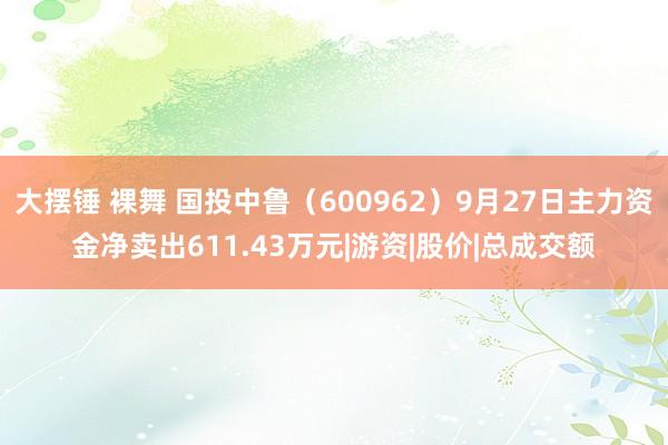 大摆锤 裸舞 国投中鲁（600962）9月27日主力资金净卖出611.43万元|游资|股价|总成交额