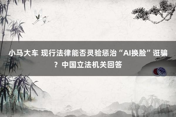 小马大车 现行法律能否灵验惩治“AI换脸”诳骗？中国立法机关回答