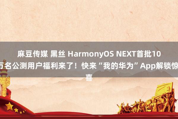 麻豆传媒 黑丝 HarmonyOS NEXT首批100万名公测用户福利来了！快来“我的华为”App解锁惊喜