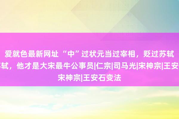 爱就色最新网址 “中”过状元当过宰相，贬过苏轼救过苏轼，他才是大宋最牛公事员|仁宗|司马光|宋神宗|王安石变法