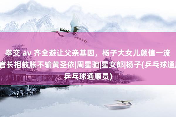 拳交 av 齐全避让父亲基因，杨子大女儿颜值一流，五官长相鼓胀不输黄圣依|周星驰|星女郎|杨子(乒乓球通顺员)