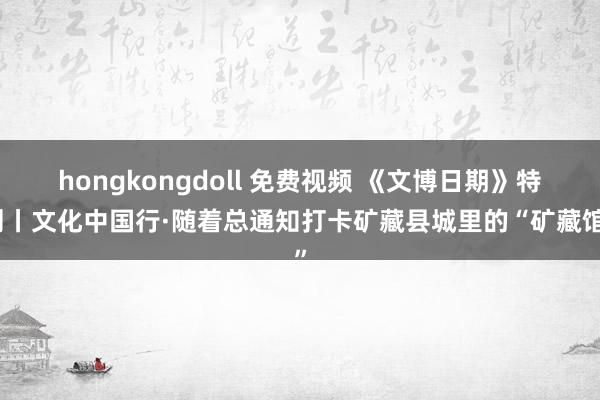 hongkongdoll 免费视频 《文博日期》特刊丨文化中国行·随着总通知打卡矿藏县城里的“矿藏馆”