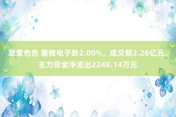 就爱色色 赛微电子跌2.00%，成交额2.26亿元，主力资金净流出2248.14万元