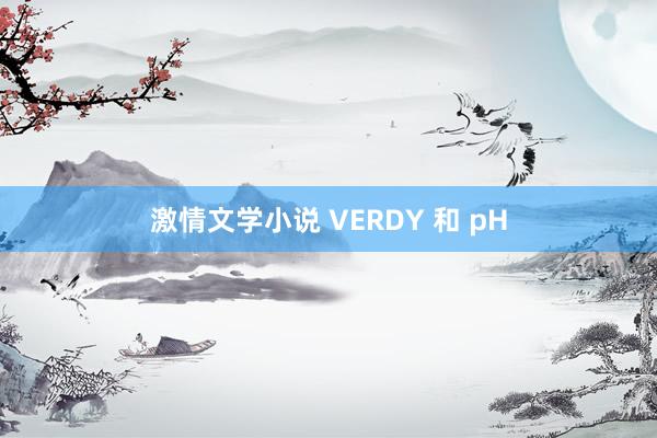 激情文学小说 VERDY 和 pH