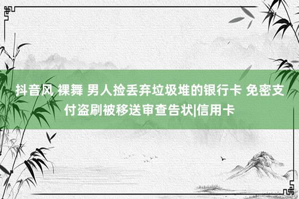 抖音风 裸舞 男人捡丢弃垃圾堆的银行卡 免密支付盗刷被移送审查告状|信用卡